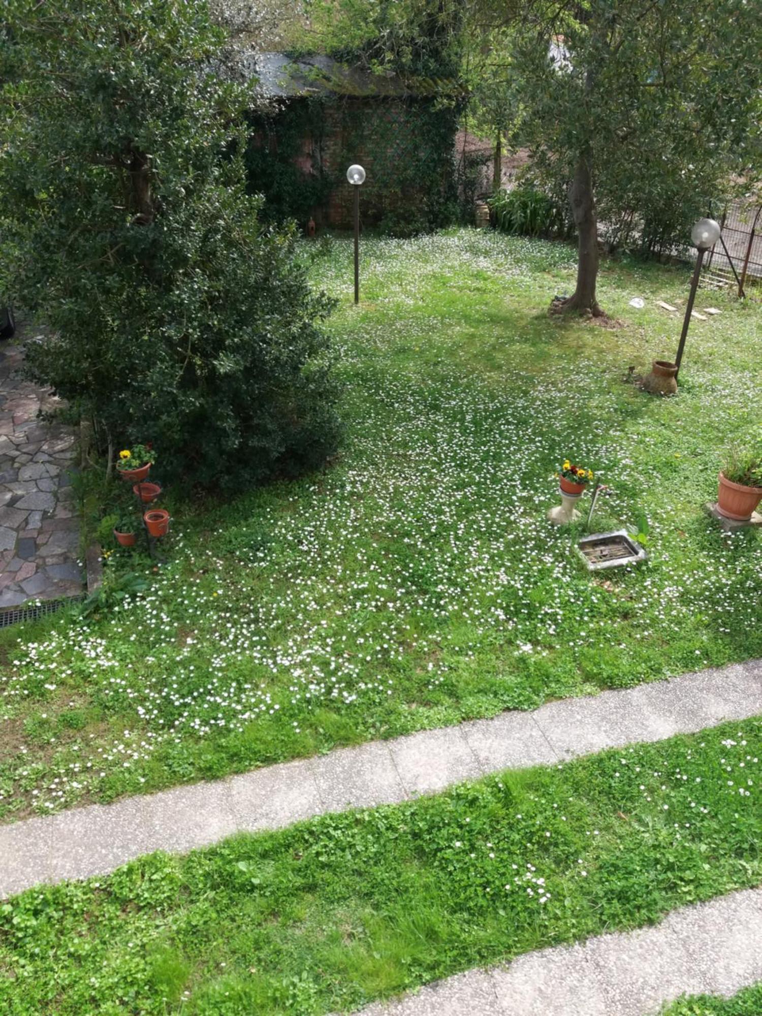 La Casa Del Tiglio Apartment Sarzana Luaran gambar